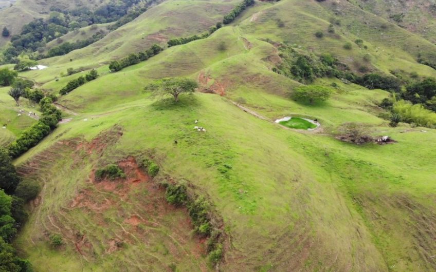 Finca Ganadera para la Venta Corozal Valle del Cauca