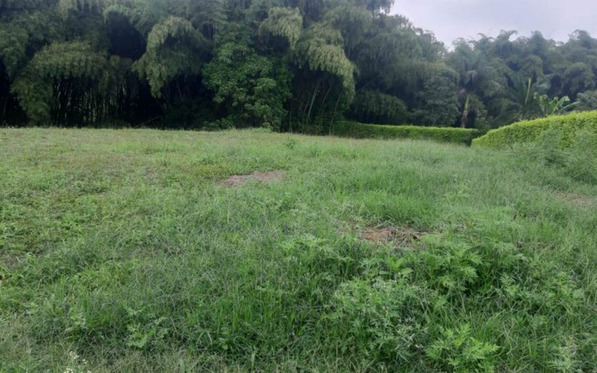 Lote para la Venta en Condominio Campestre Vía al Club Campestre