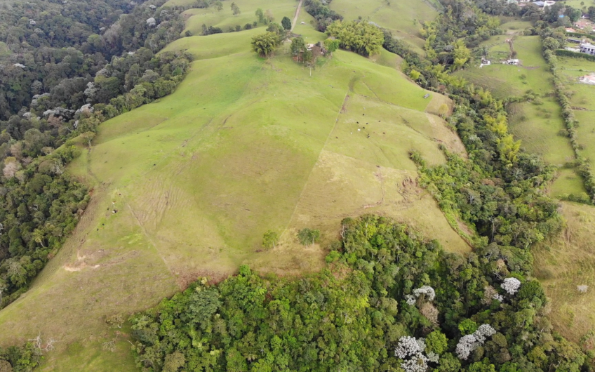 Lotes para la Venta – Circasia, Quindío