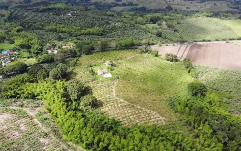 Finca para la Venta Vía al Valle – Sector La Herradura