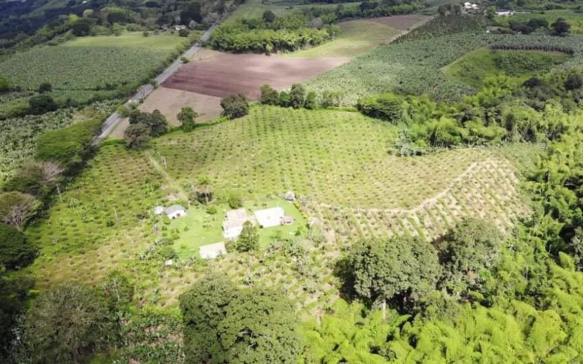 Finca para la Venta Vía al Valle – Sector La Herradura