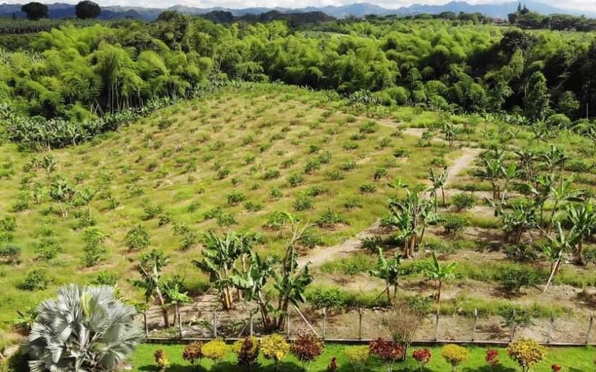 Finca para la Venta Vía al Valle – Sector La Herradura