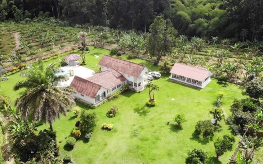 Finca para la Venta Vía al Valle – Sector La Herradura