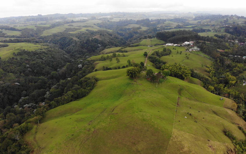 Lotes para la Venta – Circasia, Quindío