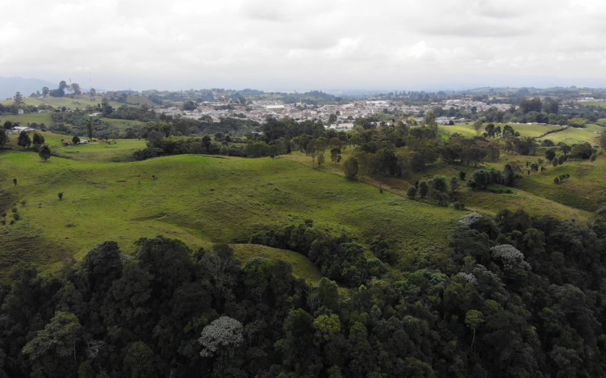 Lotes para la Venta – Circasia, Quindío