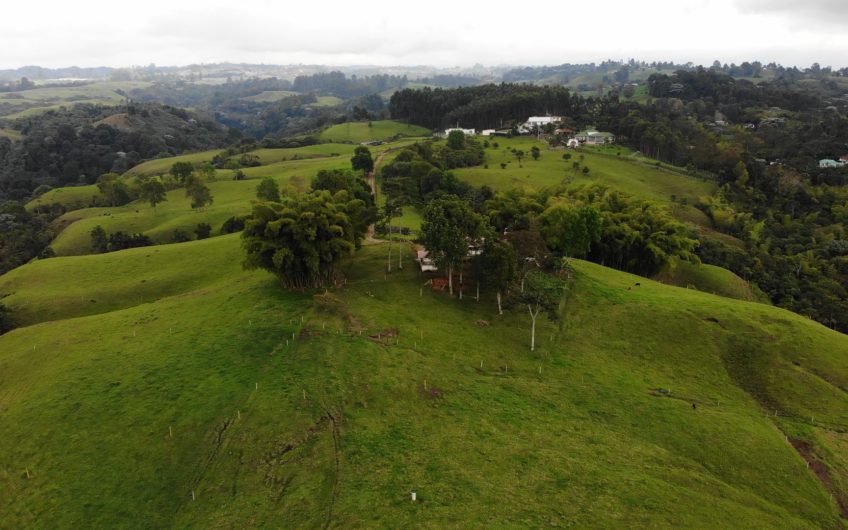 Lotes para la Venta – Circasia, Quindío