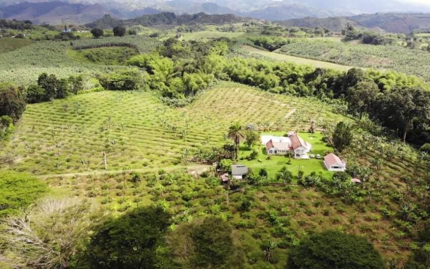 Finca para la Venta Vía al Valle – Sector La Herradura