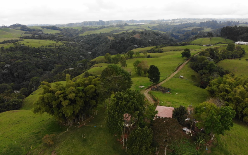 Lotes para la Venta – Circasia, Quindío