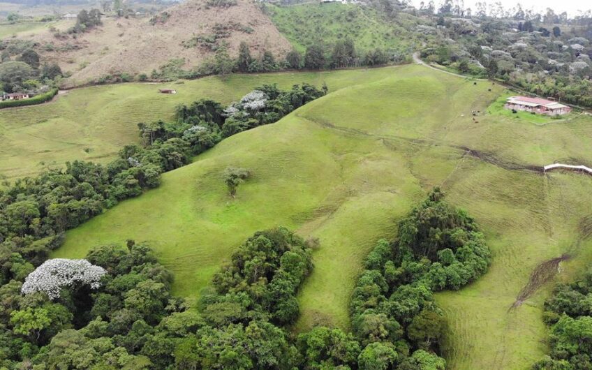 Finca para la Venta en Filandia, Quindío