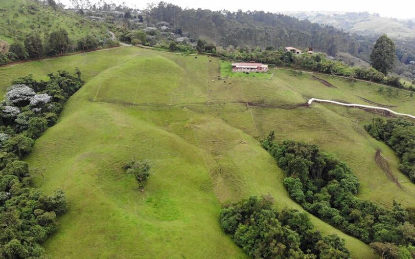 Finca para la Venta en Filandia, Quindío