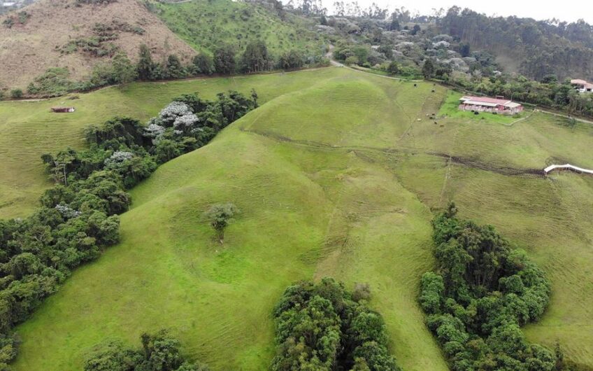 Finca para la Venta en Filandia, Quindío