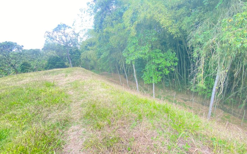 Lote para la Venta en Condominio Campestre – Vía Aeropuerto