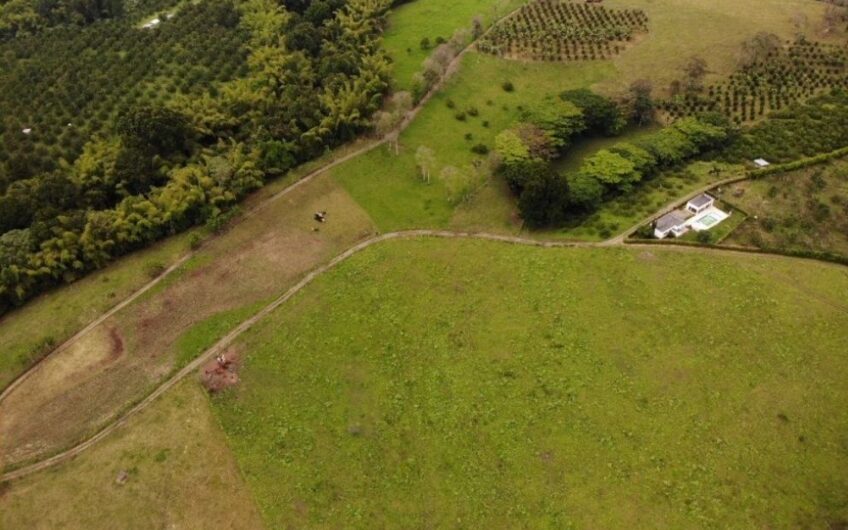 Finca Ganadera para la Venta – Pueblo Tapao, Quindío