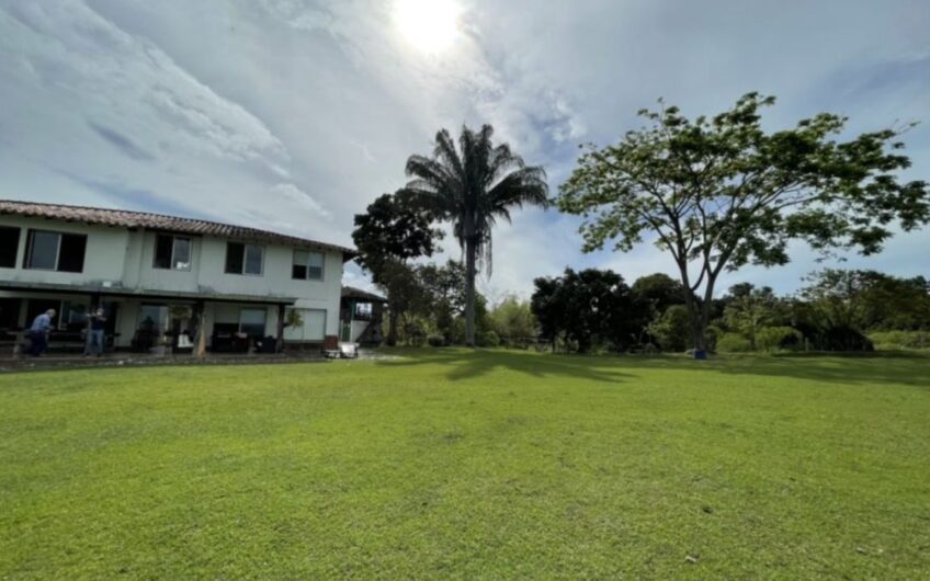 Finca Ganadera para la Venta – Pueblo Tapao, Quindío