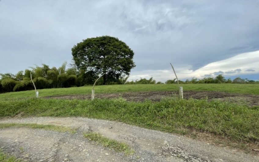 Finca Ganadera para la Venta – Pueblo Tapao, Quindío