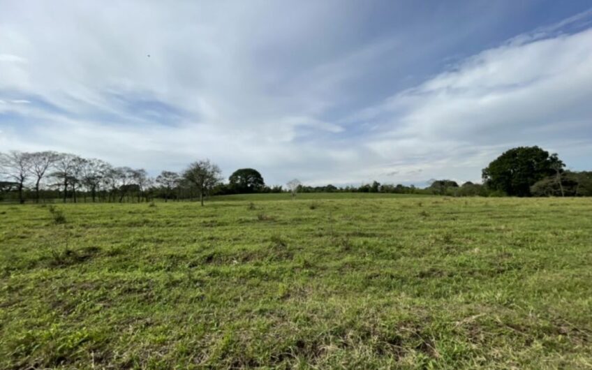 Finca Ganadera para la Venta – Pueblo Tapao, Quindío
