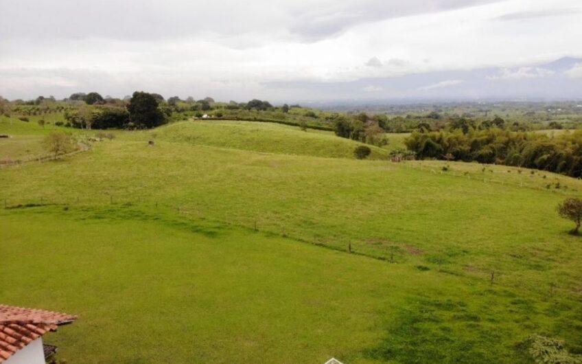 Finca Ganadera para la Venta – Pueblo Tapao, Quindío