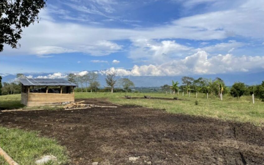 Finca Ganadera para la Venta – Pueblo Tapao, Quindío