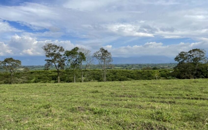Finca Ganadera para la Venta – Pueblo Tapao, Quindío