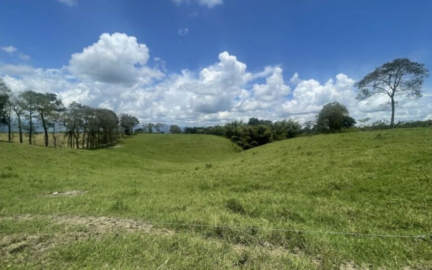 Finca Ganadera para la Venta – Pueblo Tapao, Quindío