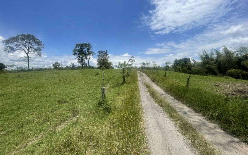 Finca Ganadera para la Venta – Pueblo Tapao, Quindío