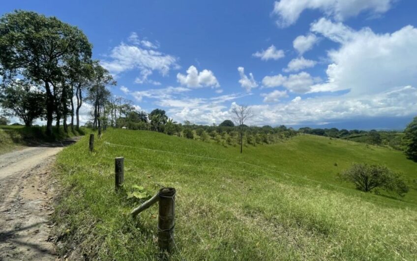 Finca Ganadera para la Venta – Pueblo Tapao, Quindío