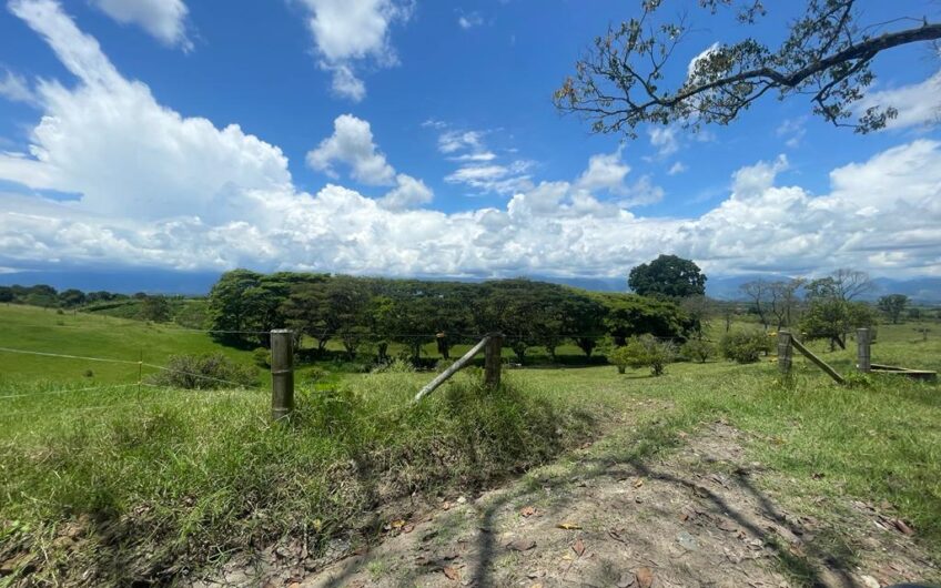 Finca Ganadera para la Venta – Pueblo Tapao, Quindío