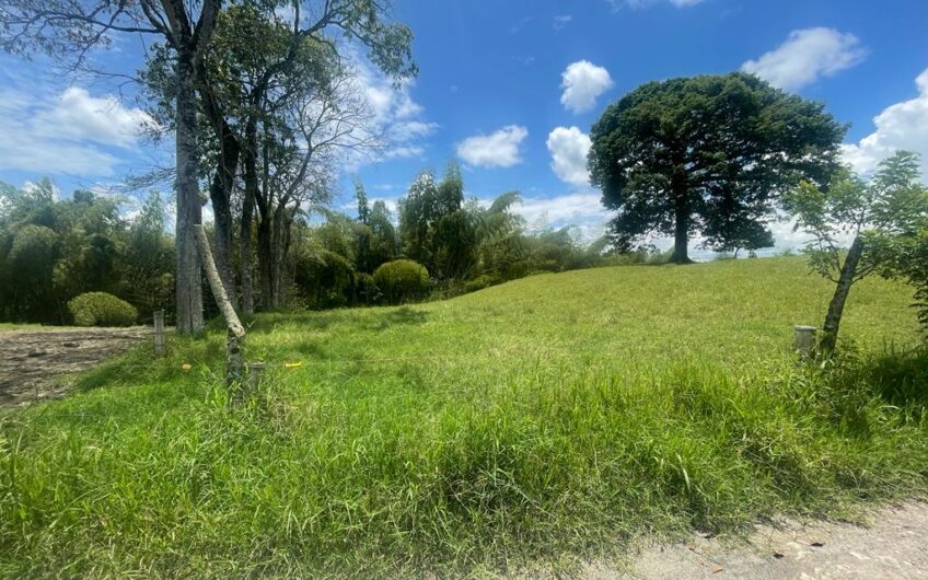 Finca Ganadera para la Venta – Pueblo Tapao, Quindío