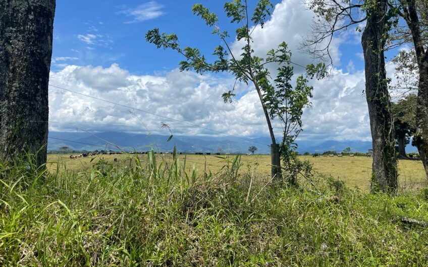 Finca Ganadera para la Venta – Pueblo Tapao, Quindío
