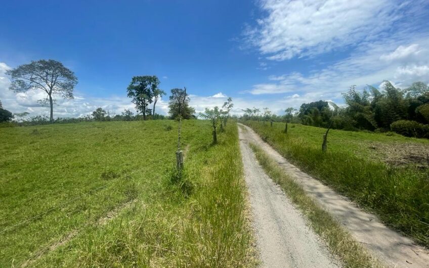 Finca Ganadera para la Venta – Pueblo Tapao, Quindío