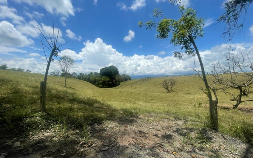 Finca Ganadera para la Venta – Pueblo Tapao, Quindío