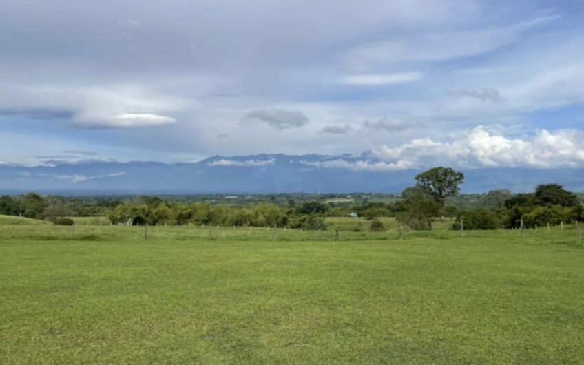 Finca Ganadera para la Venta – Pueblo Tapao, Quindío
