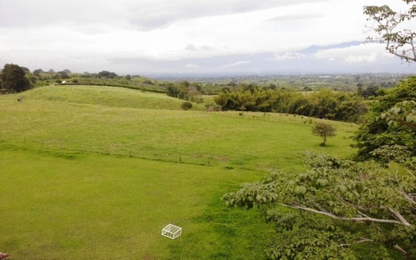 Finca Ganadera para la Venta – Pueblo Tapao, Quindío