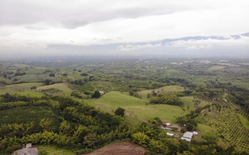 Finca Ganadera para la Venta – Pueblo Tapao, Quindío