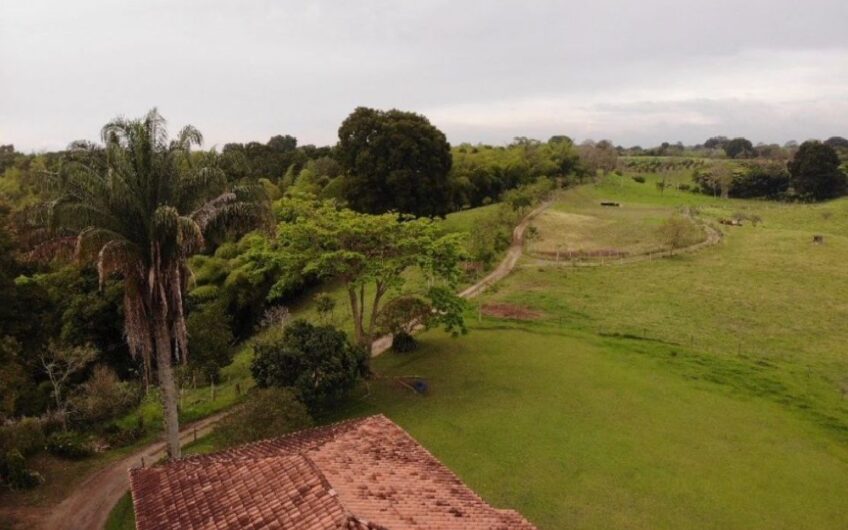 Finca Ganadera para la Venta – Pueblo Tapao, Quindío