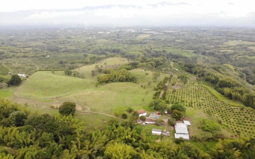 Finca Ganadera para la Venta – Pueblo Tapao, Quindío