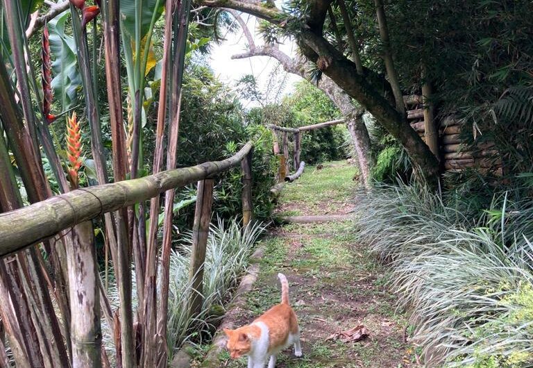 Casa para la Venta en Condominio Campestre – Vía al Campestre