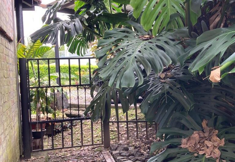 Casa para la Venta en Condominio Campestre – Vía al Campestre