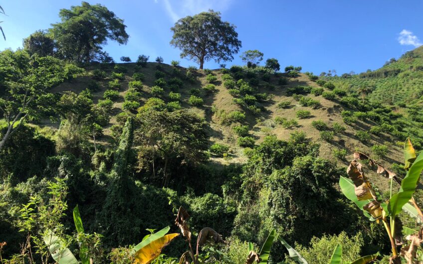 Finca Productiva en Venta – Vía Génova