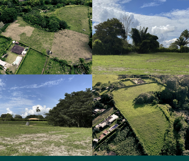 Proyecto Cabo Verde – Vía Tebaida