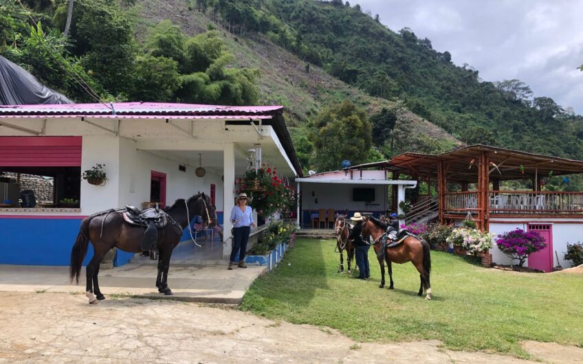 Finca Productiva en Venta – Vía Génova