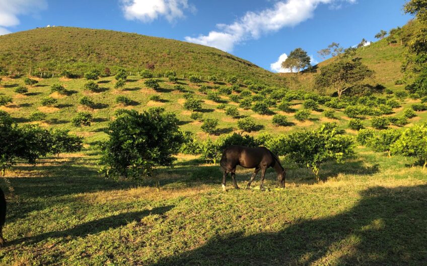 Finca Productiva en Venta – Vía Génova