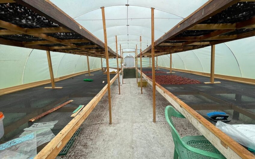 Finca para la Venta – Vía a Quimbaya
