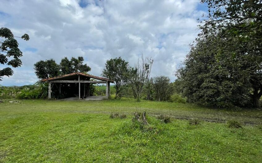 Finca para la Venta – Vía a Quimbaya