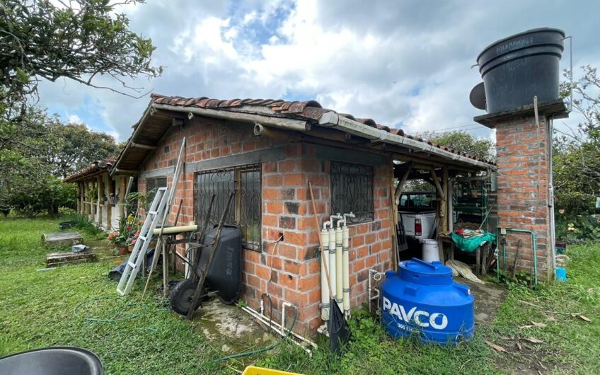 Finca para la Venta – Vía a Quimbaya