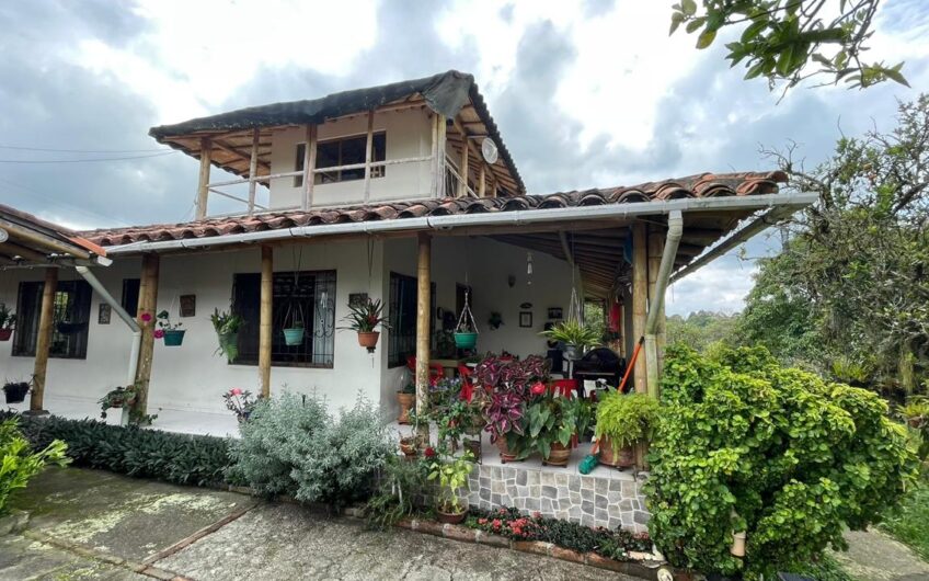 Finca para la Venta – Vía a Quimbaya