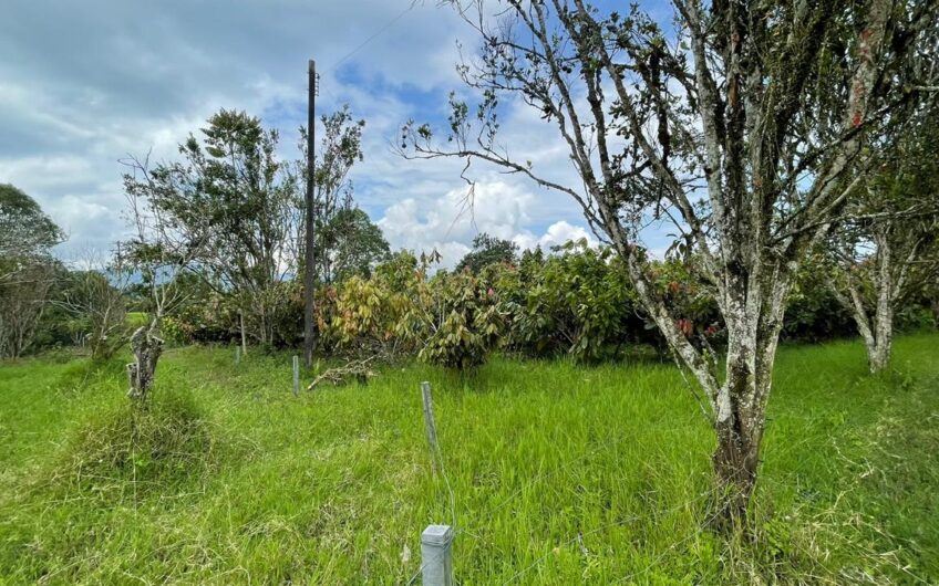 Finca para la Venta – Vía a Quimbaya