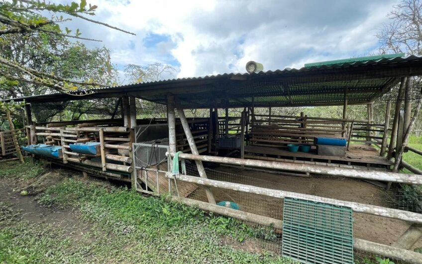 Finca para la Venta – Vía a Quimbaya