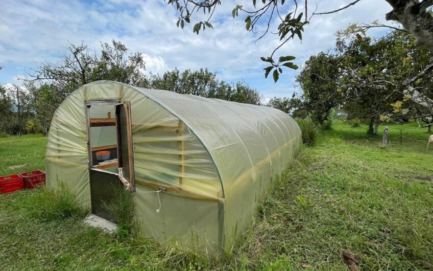 Finca para la Venta – Vía a Quimbaya
