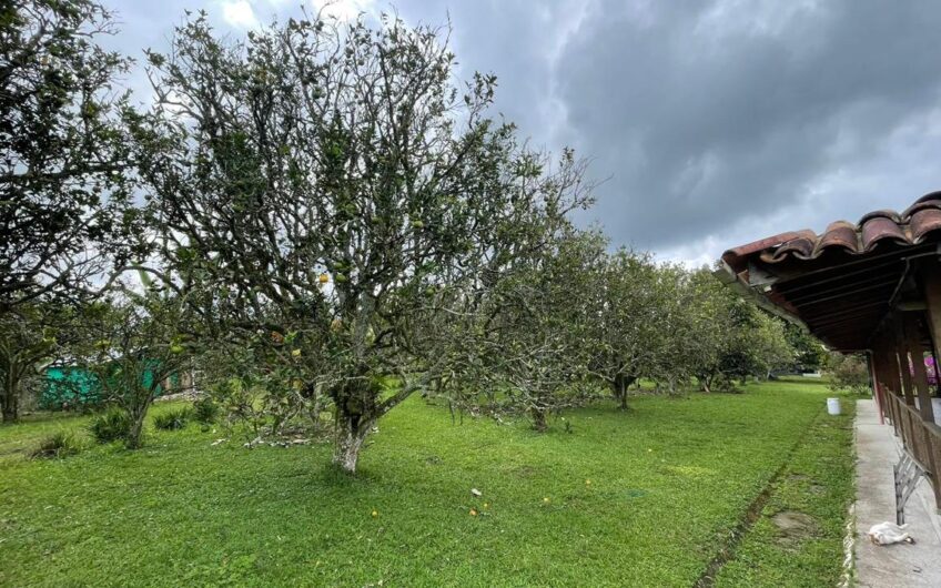 Finca para la Venta – Vía a Quimbaya